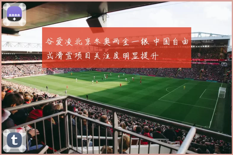 谷爱凌北京冬奥两金一银 中国自由式滑雪项目关注度明显提升