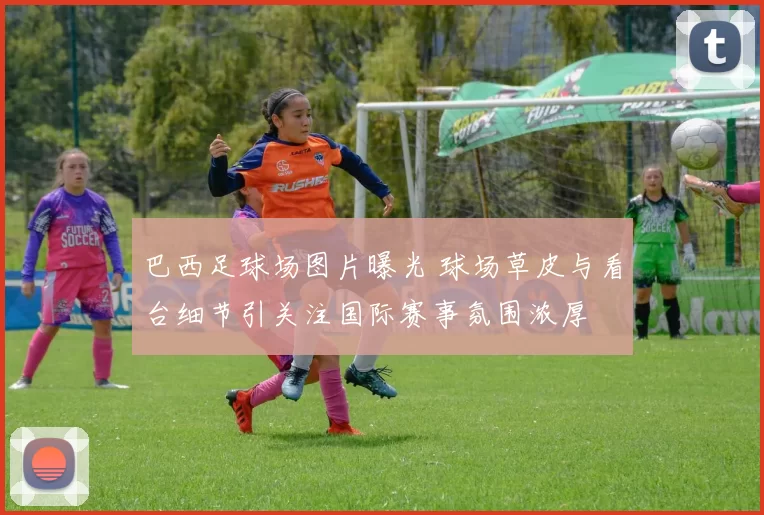 巴西足球场图片曝光 球场草皮与看台细节引关注国际赛事氛围浓厚