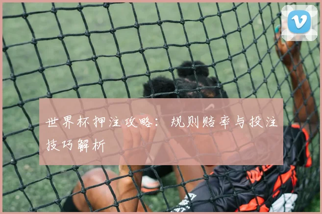 世界杯押注攻略：规则赔率与投注技巧解析