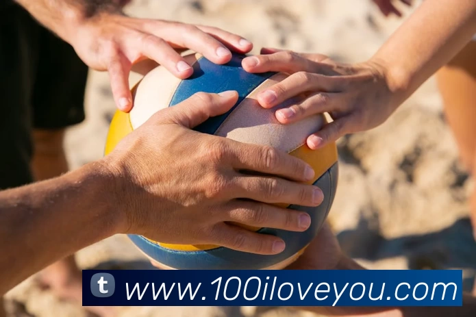 环球体育官网app登录入口服务体系